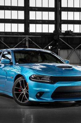 2015 r/t scat pack dodge charger