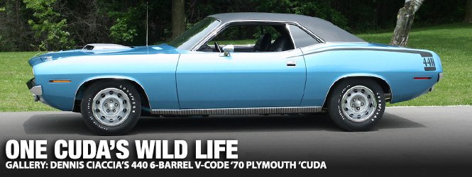 1970cuda Gallery: Dennis Ciaccia's 440 6-Barrel V-Code '70 Plymouth 'Cuda